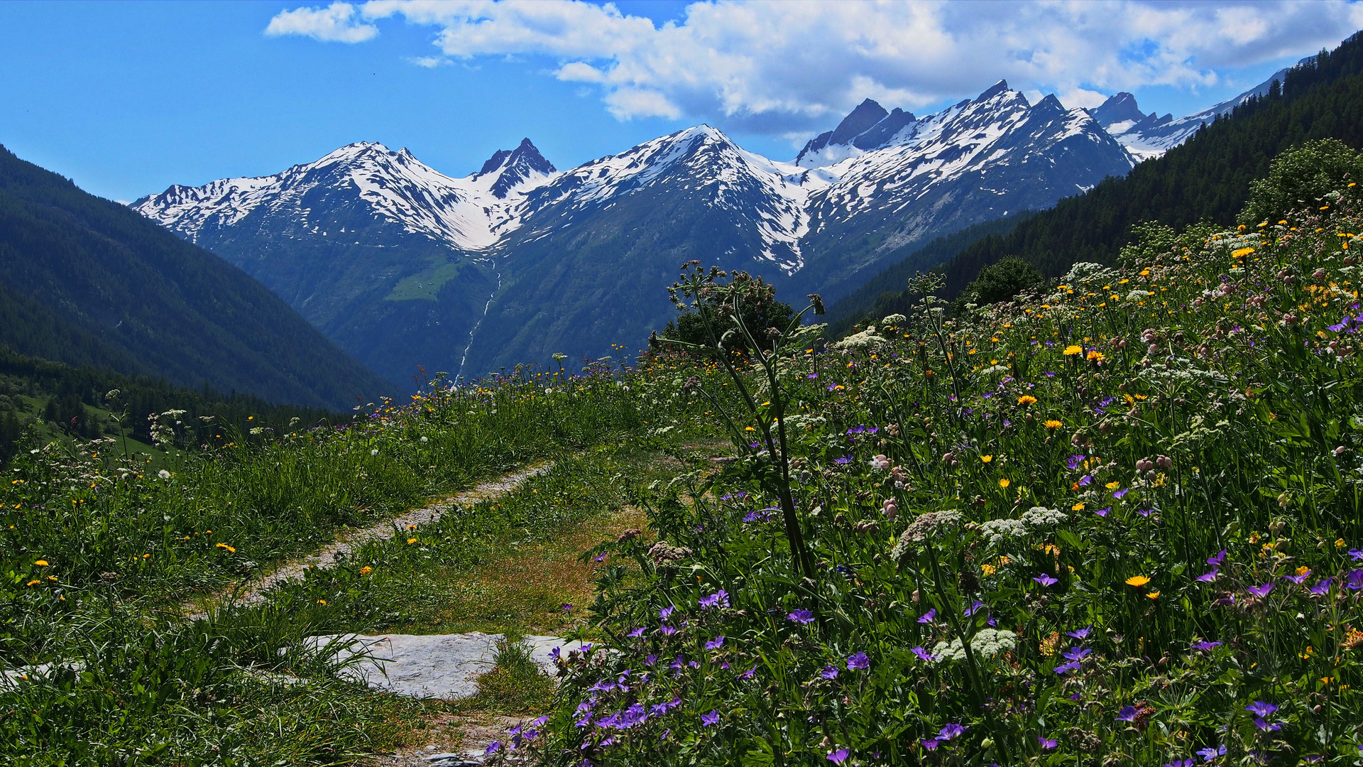 Das Wandern ist des Müllers Lust ...