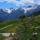 Das Wandern ist des Müllers Lust ...