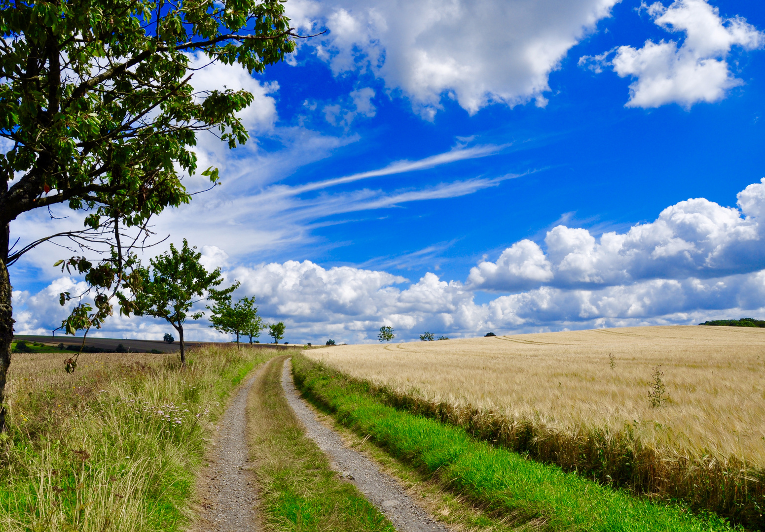 Das Wandern ist des Müllers Lust