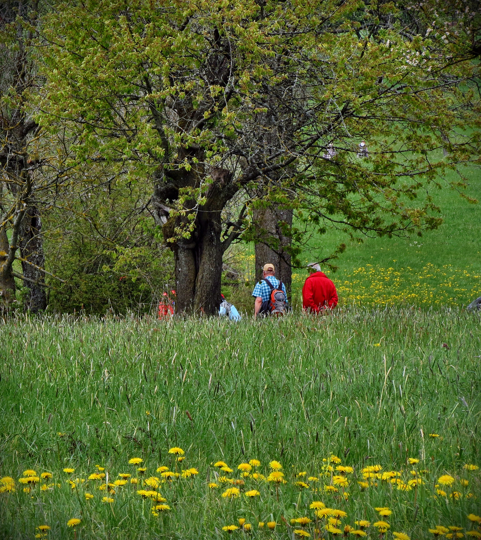 "Das Wandern ist des Müllers Lust"