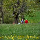 "Das Wandern ist des Müllers Lust"