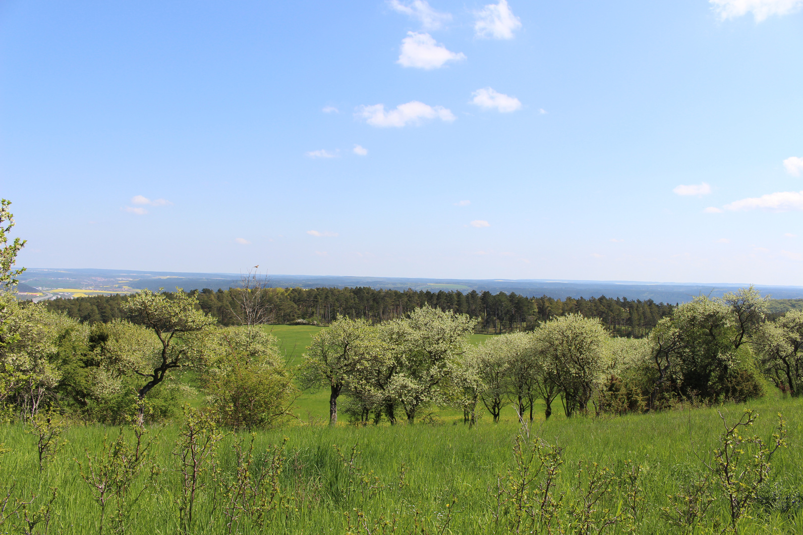 das Wandern ist 'ne Lebenskunst