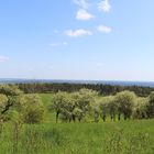 das Wandern ist 'ne Lebenskunst