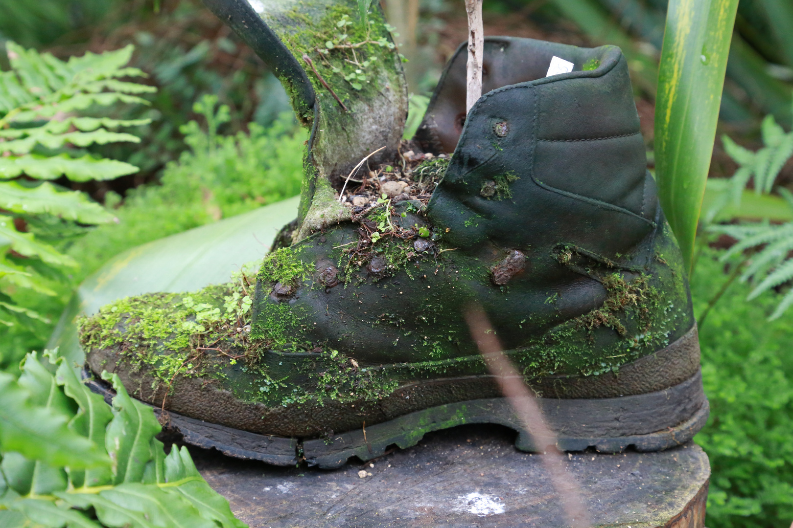 das Wandern war des Müllers Lust