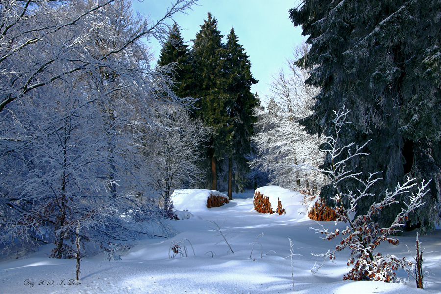 Das war am 18ten Dez.2010