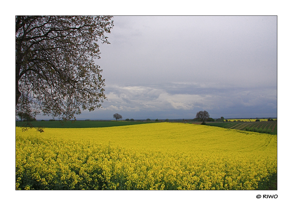 das war der 1. Mai.....