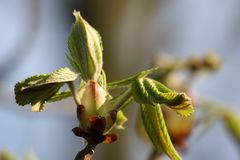 das war der frühling