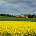 Das war der Frühling 2011