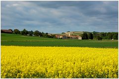 Das war der Frühling 2011