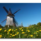 Das war der Frühling auf Usedom...