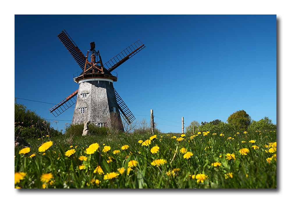 Das war der Frühling auf Usedom...