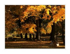 Das war der "GoldeneOktober2012"