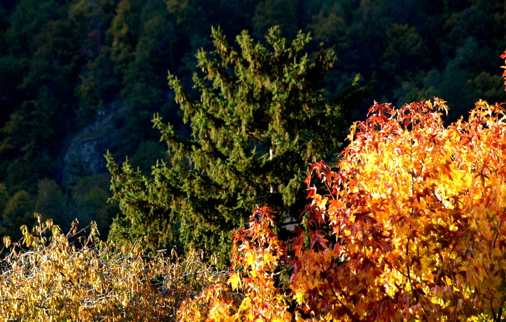 Das war der Herbst !