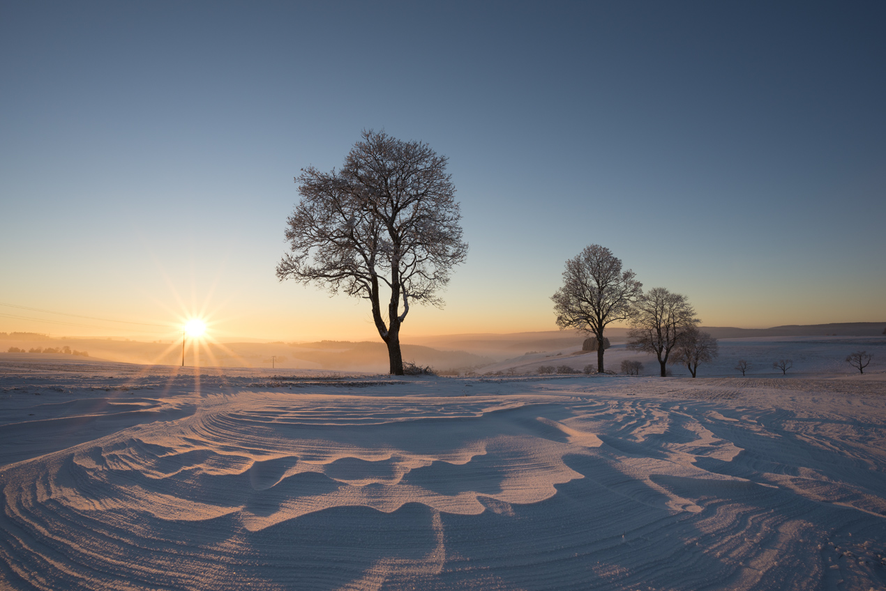 Das war der Januar 2017