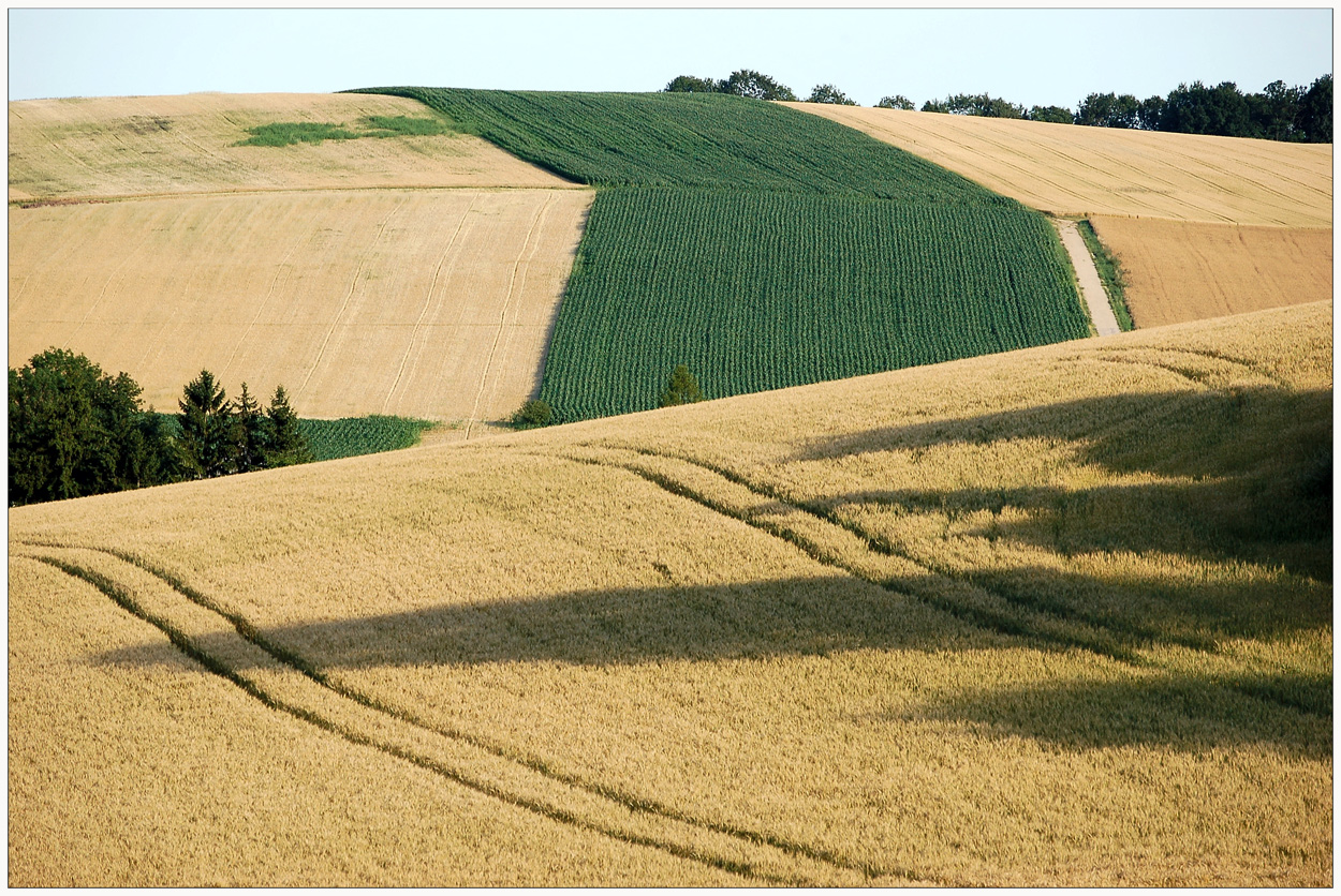 Das war der Sommer 2011