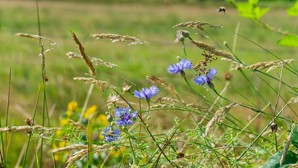 Das war der Sommer