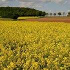 Das war ein Frühling ...