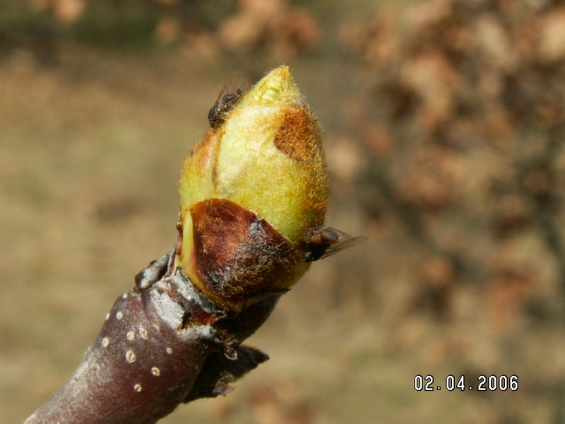 Das war ein schöner Frühling