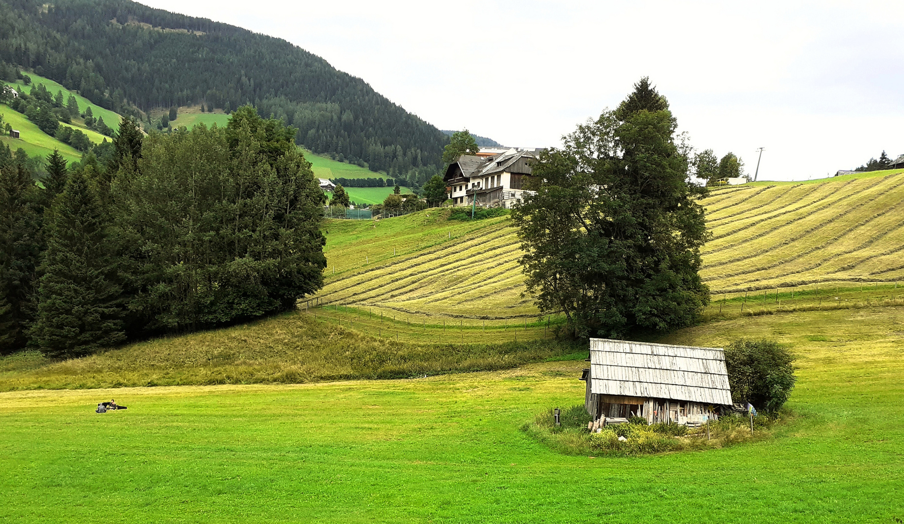 das war ein Sommer