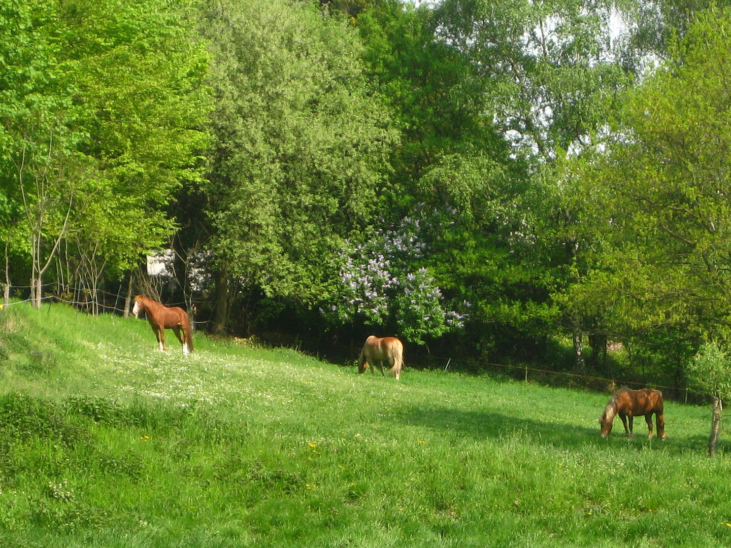 Das war Frühling