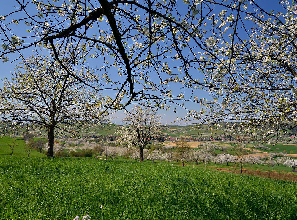 Das war " Frühling im Eggenertal " 2013 Nr.1