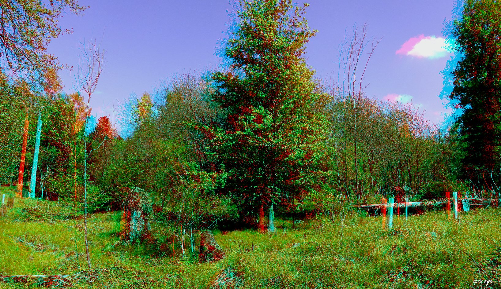 Das war im Frühling - Anaglyphen 