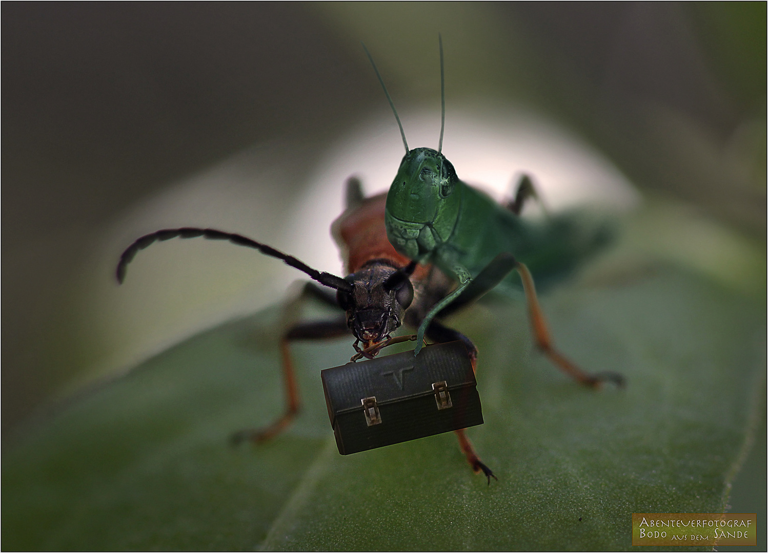 Das war knapp ..! Foto & Bild composing, digiart, fantasy Bilder auf