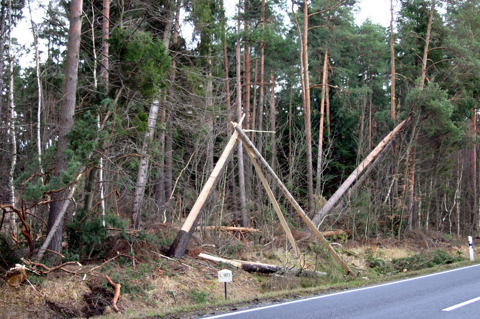 das war knapp - so unmittelbar am Straßenrand