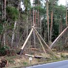 das war knapp - so unmittelbar am Straßenrand