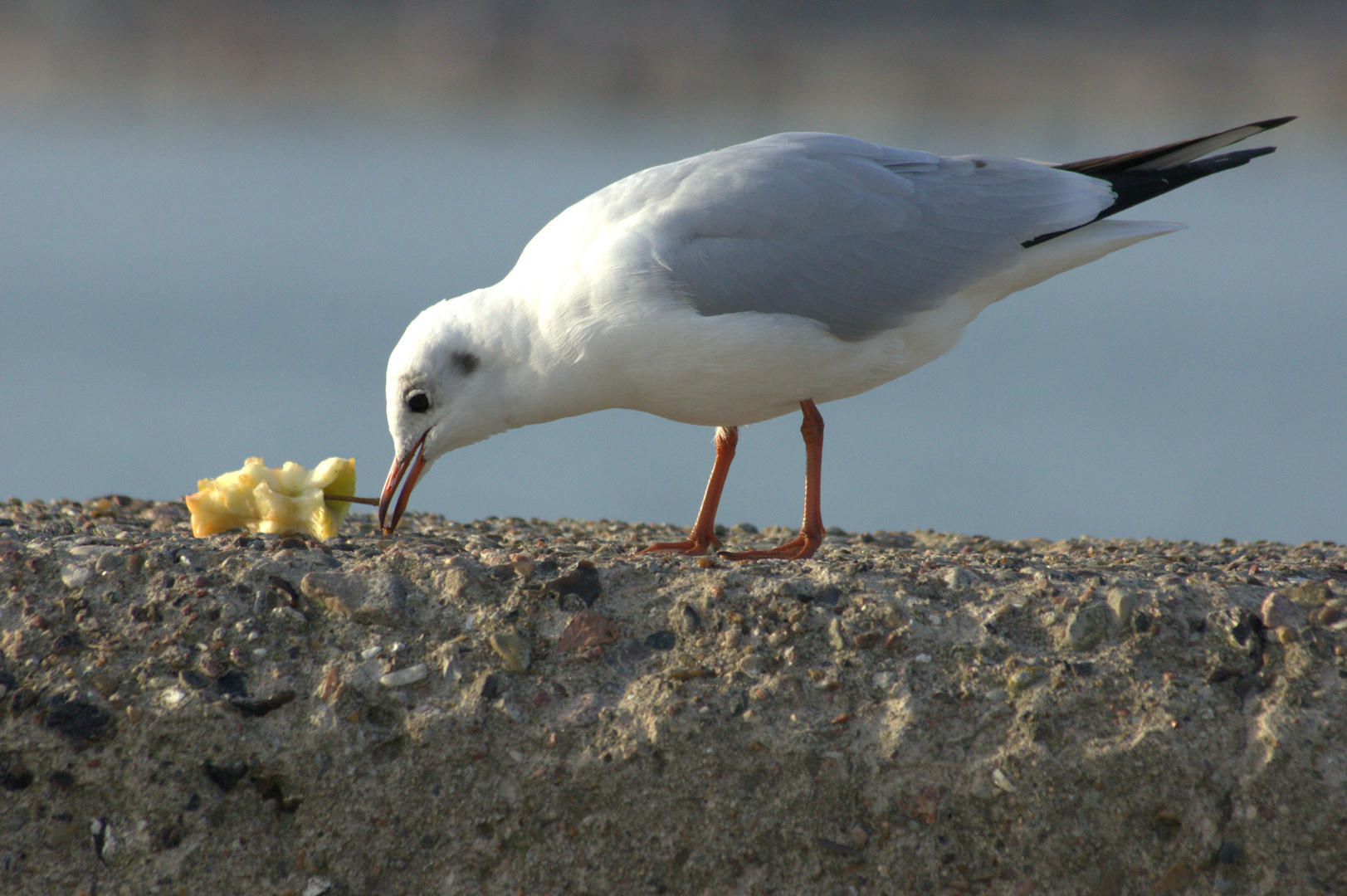 das war lecker