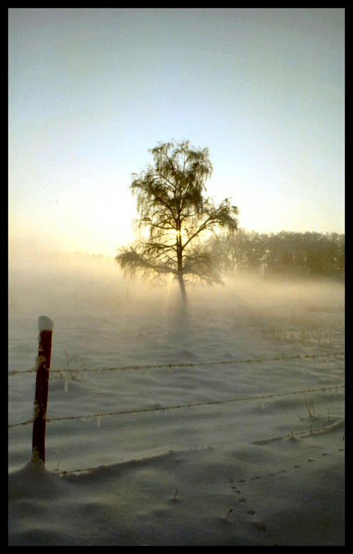 Das war noch Winter 2