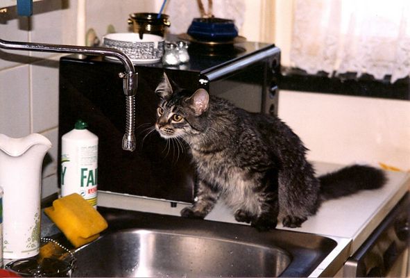 das war unsre schatz