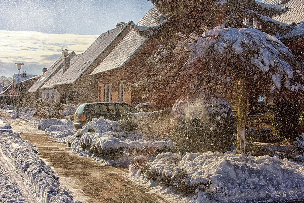 DAS war voriges Jahr im Januar