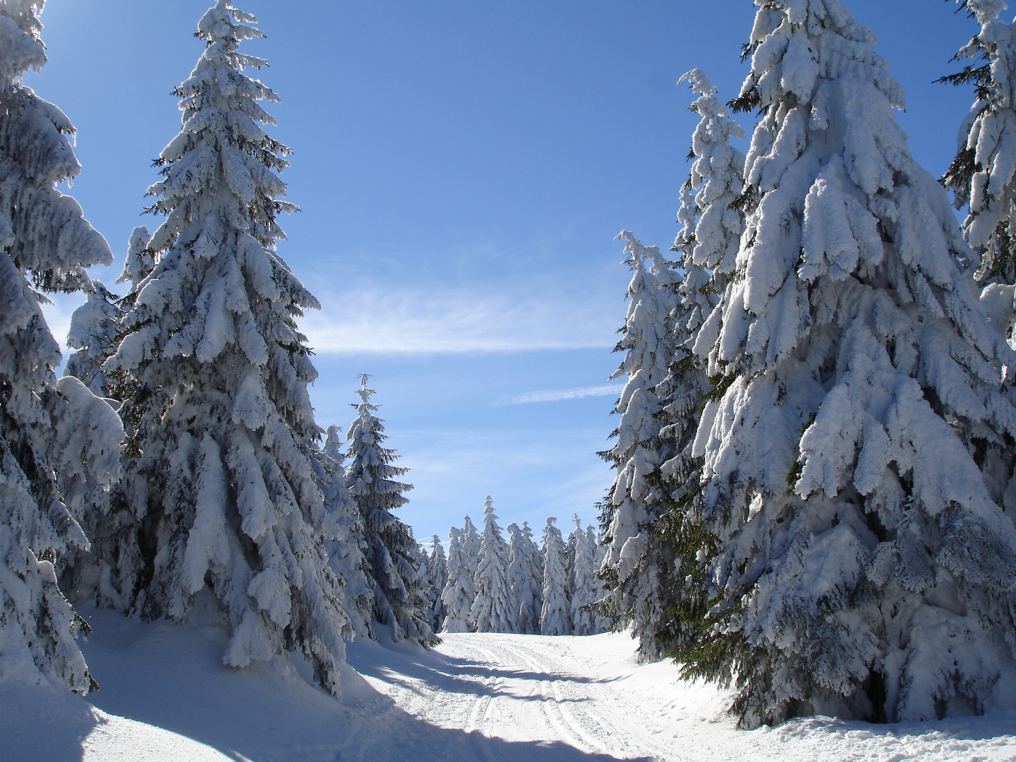 Das waren noch Winter.