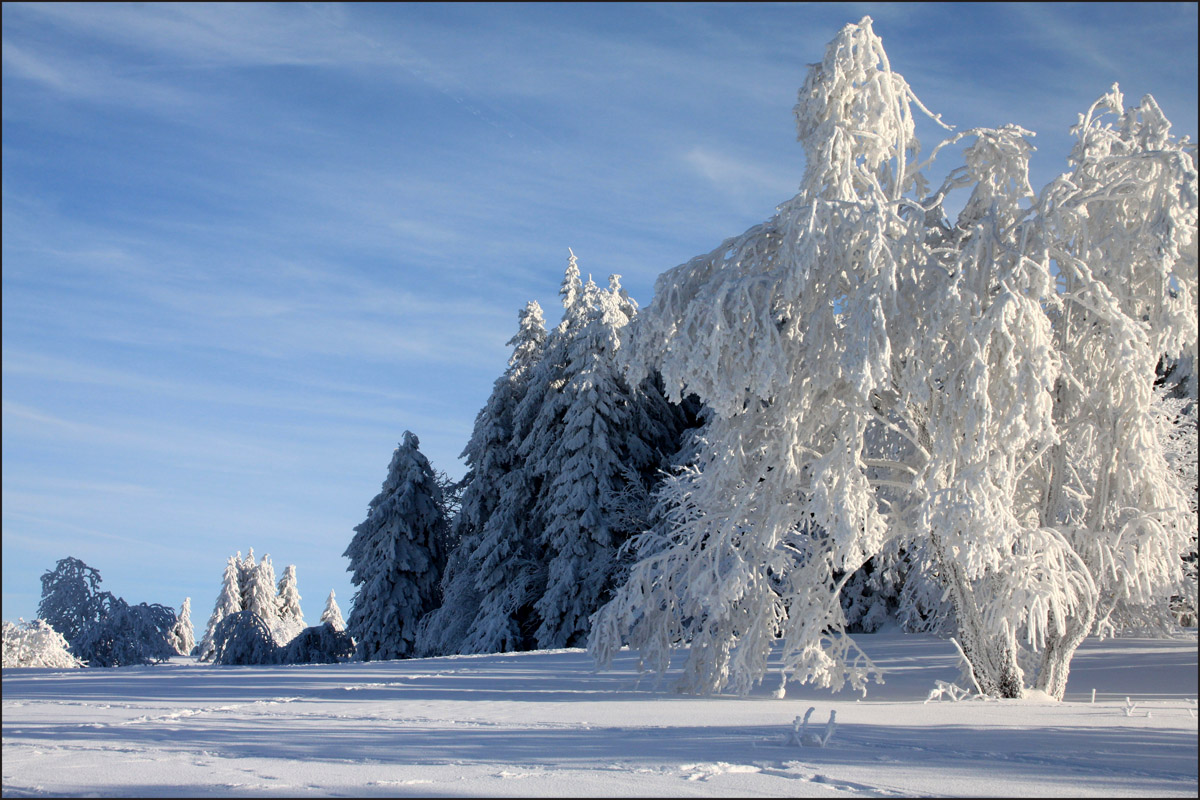 "Das waren noch Winter ... in der Rhön 2012