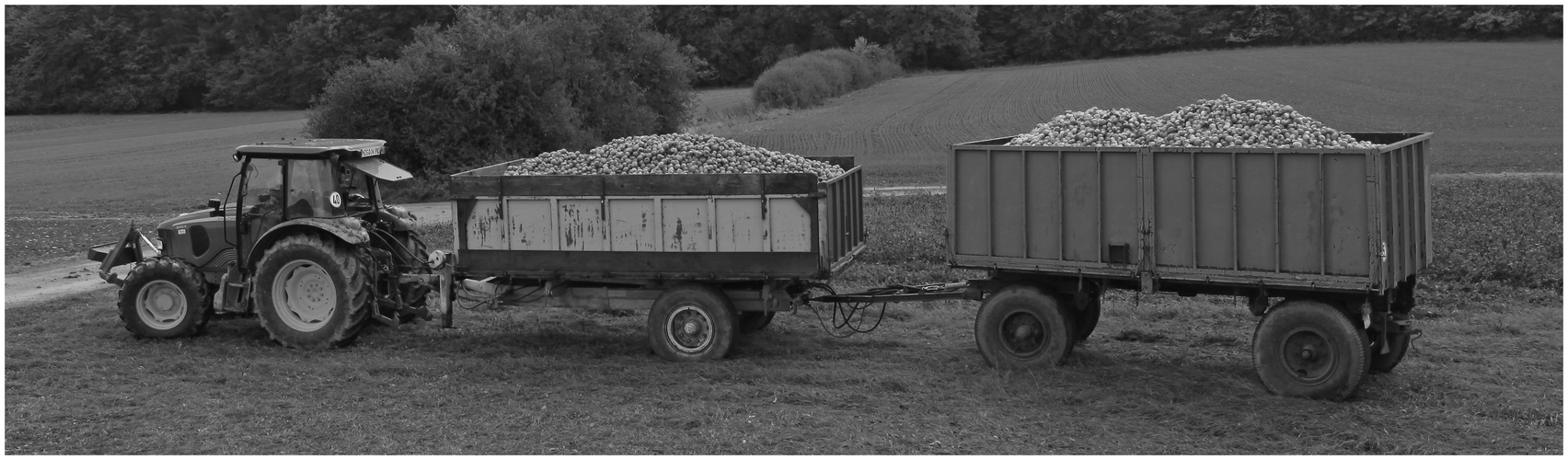 Das waren noch Zeiten..... Halbzeit in der Apfelernte... sw