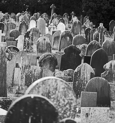 Das waren viele Leben