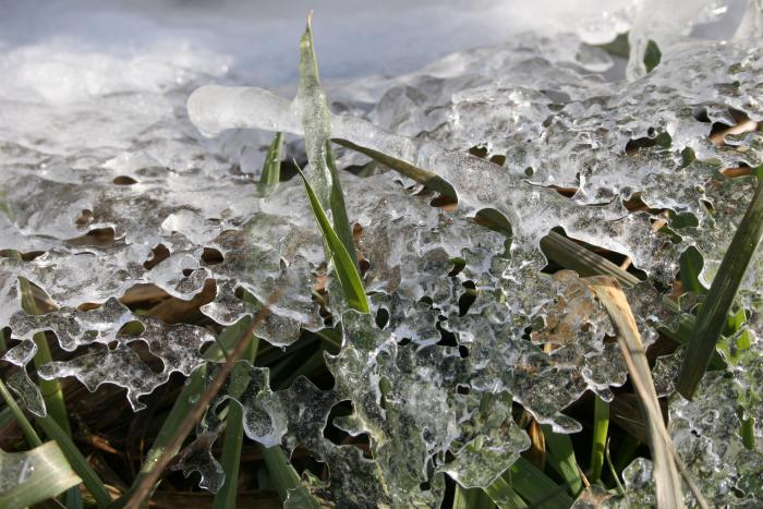 das war's mit dem Schnee