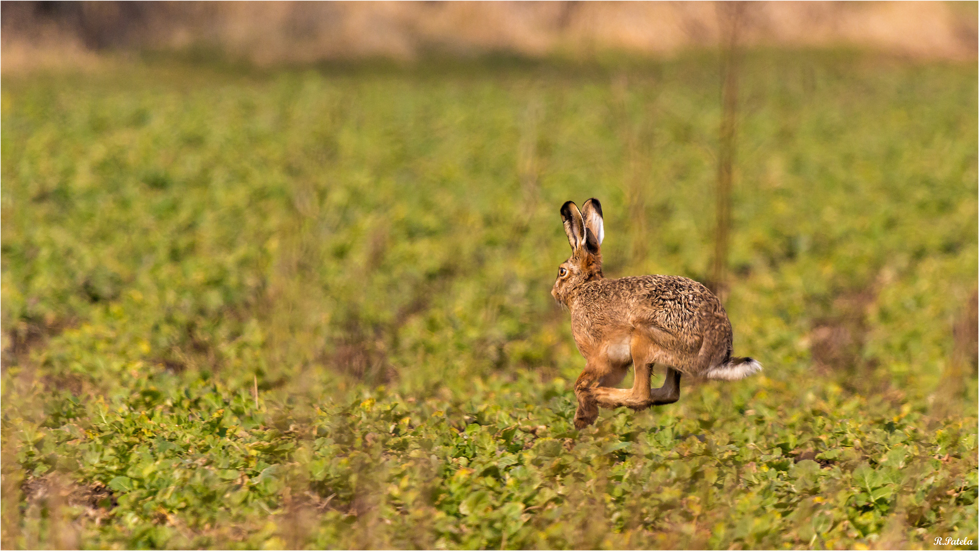 Das war's mit Ostern