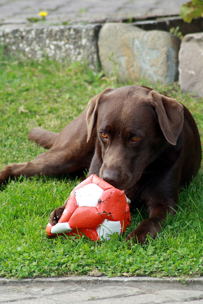 Das wars wohl mit dem Ball.