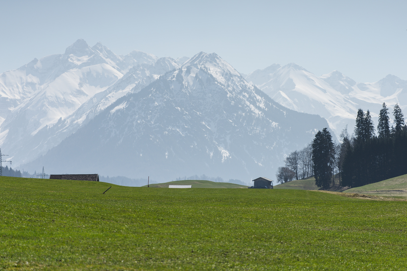 Das Warten auf den Frühling