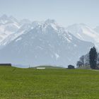 Das Warten auf den Frühling