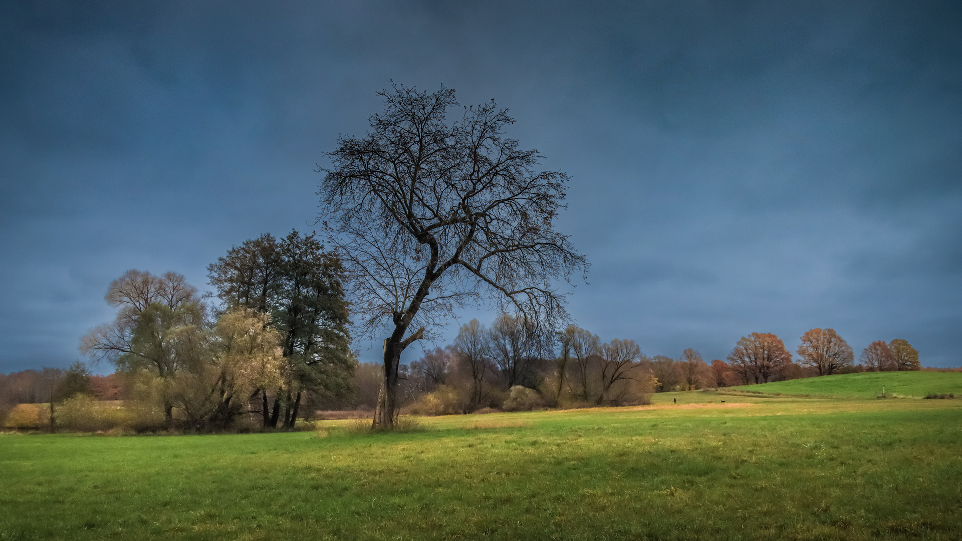 Das Warten auf den Frühling