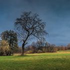 Das Warten auf den Frühling