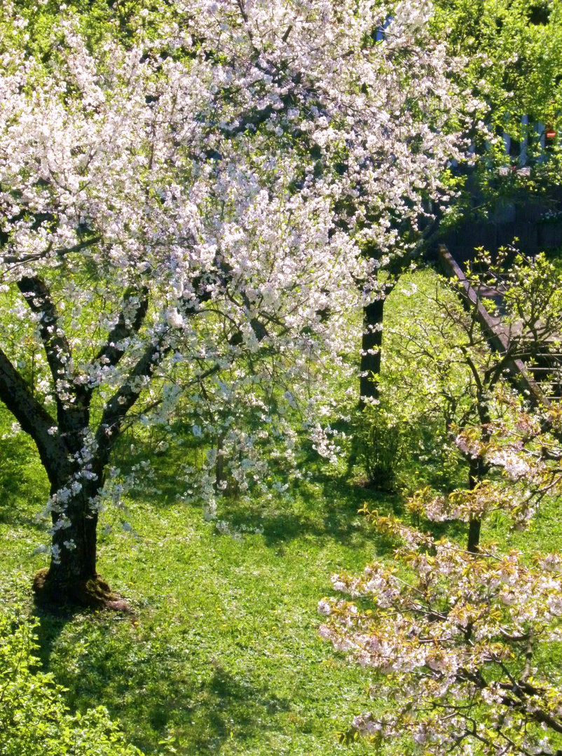 DAS WARTEN AUF DEN FRÜHLING