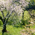 DAS WARTEN AUF DEN FRÜHLING