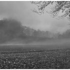 Das Warten des Naturfotografen