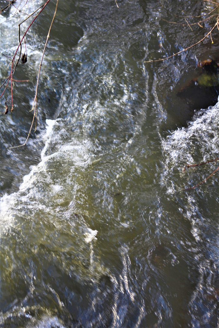 das Wasser bahnt sich ungebremst seinen Weg