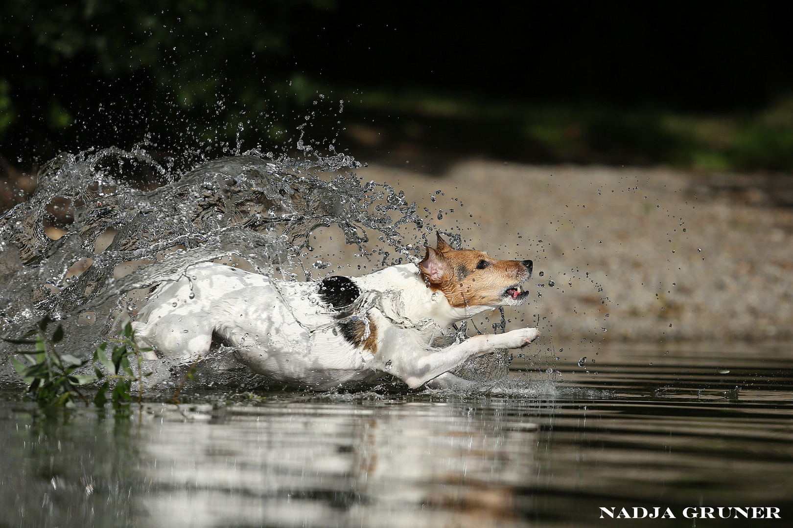 Das Wasser bis zum Hals...