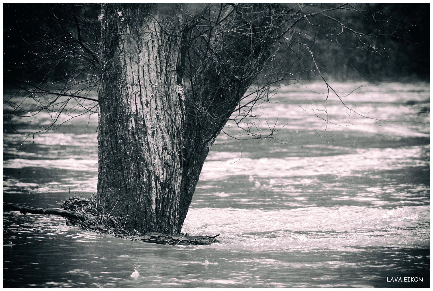 ..., das Wasser bis zum Halse steht?